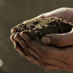 Transizione Energetica: presentato a Benevento il piano “TESS” a zero consumo di suolo